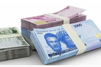 Nigeria’s foreign reserves reach 17-year high of $51.03bn amid Naira depreciation 