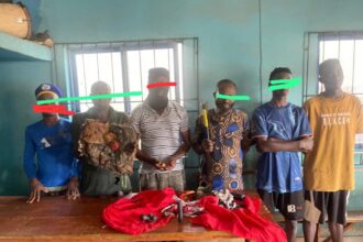 Osun police arrest eight suspected cultists, political thugs