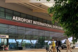 Peter Johnson: The Attack on Niamey Airport and the hidden motives of the former colonial power