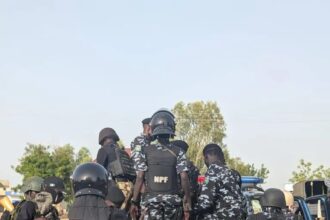 Police raid black spots, arrest 57 suspects in Adamawa 