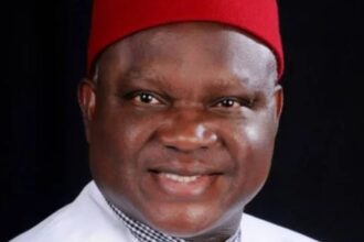 SEDC: ‘Igbo always hurting themselves’ – Chekwas Okorie