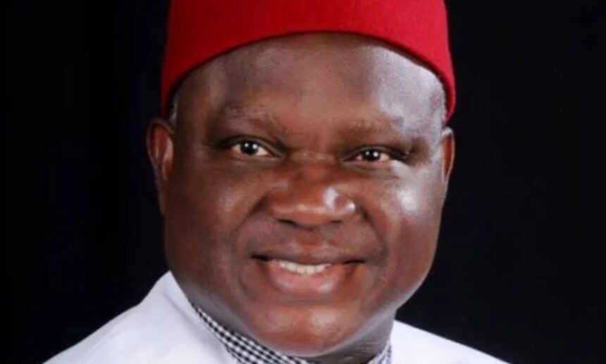 SEDC: ‘Igbo always hurting themselves’ – Chekwas Okorie