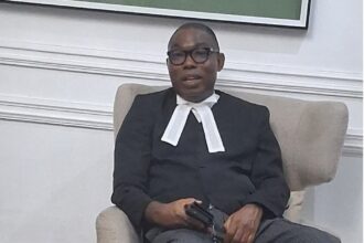 ‘They want to use bandits to win election’ – Adebayo on why govt can’t end insecurity