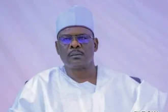Tinubu has people around who can’t tell him when he’s wrong – Ndume