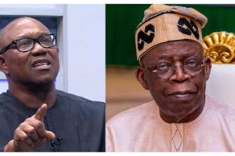 Tinubu not afraid of Peter Obi, he’s not a nightmare – Presidency