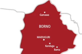 Troops foil ISWAP/JAS attack on military position in Borno