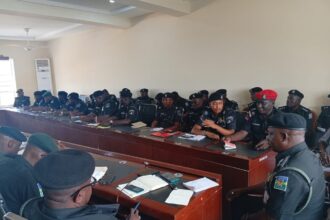 Yobe police begin crackdown on unregistered vehicles, dangerous weapons