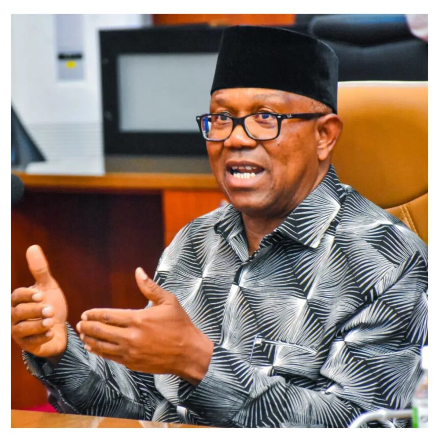 2027 election: ‘I’m a tool being used, won’t lose’ – Peter Obi