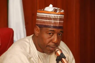 2027: ‘I won’t impose running mate on Borno APC guber candidate’ — Zulum