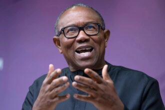 2027: ‘Nobody can decide if INEC Chairman will do right, wrong’ – Peter Obi [VIDEO]