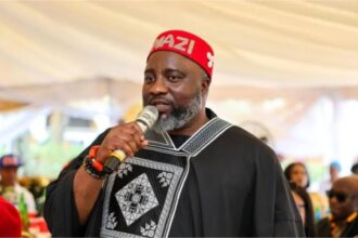 2027 poll: Imo APP chieftain, Amadi condemns destruction of party’s facilities