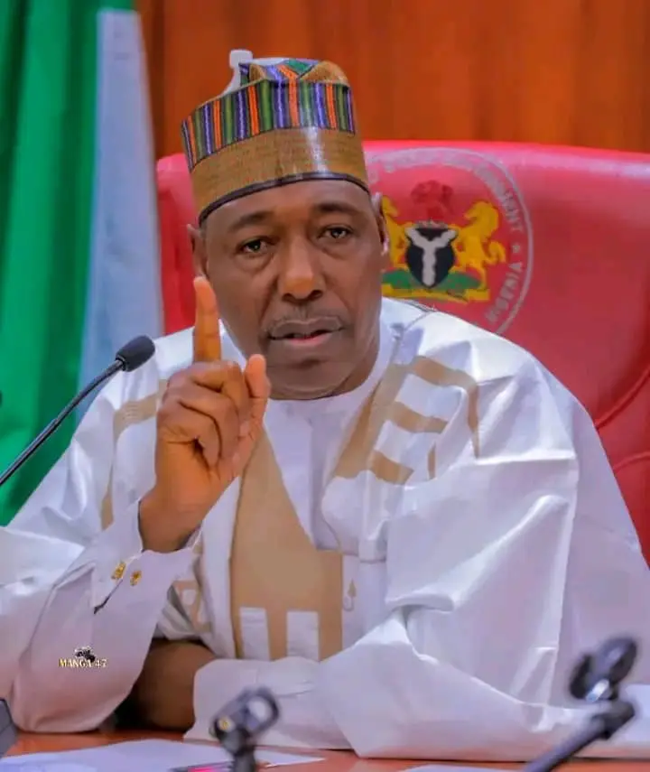 2027: Zulum thanks Tinubu for retaining Shettima as VP