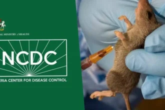 66 Lassa cases, seven deaths in three weeks – NCDC