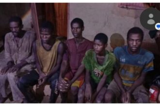 Army rescues 13 kidnapped victims, foils terrorists’ operations in Zamfara