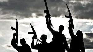 Attention should now be shifted to Borno -Ndume reacts to rescued Oyo schoolchildren, teachers