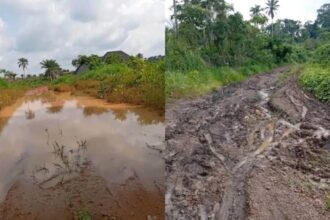Bad roads: Abia monarch begs govt to end 30 years neglect of community