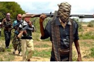 Banditry: Kano not like Katsina, Zamfara, steer clear – ‘Thug’ warns Kachalla, others