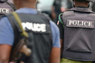 Benue: Police arrest more suspects over varsity professor’s murder