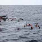 Boat accident in Cameroon kills 20, including 18 Nigerians