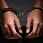 Customs arrests suspected wildlife trafficker, rescues baby gorilla in Kano