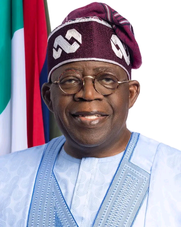 Explain reason for Agara’s return as NDE DG after resignation – Lawyer tells Tinubu