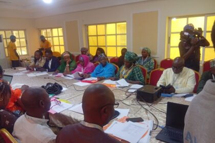 FG, north central states push reforms on women’s finance, child protection