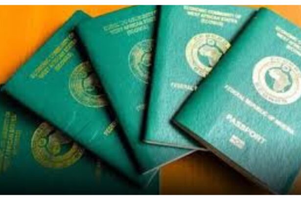 FG secures renewal of Nigerian international passport after delays