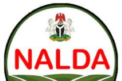 Forest reserves key to tackling insecurity – NALDA