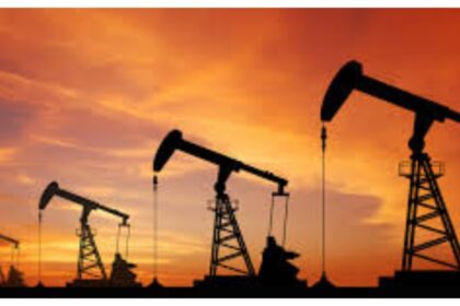 Full list: 31 firms win 37 oil, gas blocks license