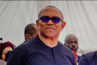 ‘Guilty man crying’ – Presidency tackles Peter Obi over airport row