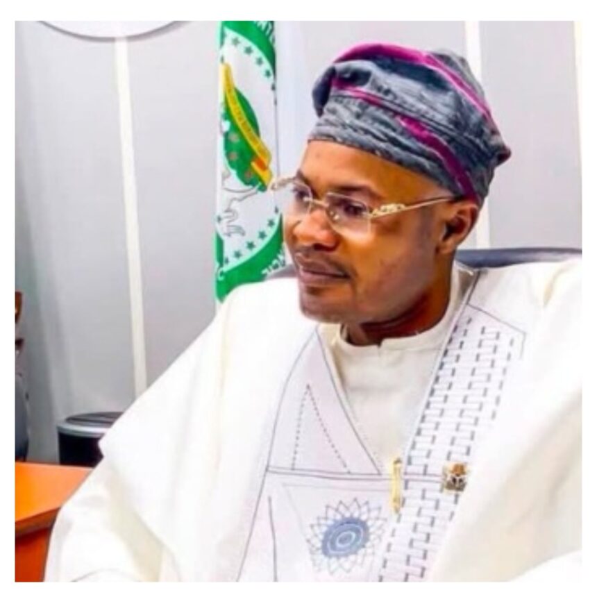 How PFIPC got N1.3bn allocation in 2026 budget – Adeyemi Adeniyi narrates