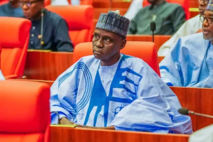 ‘Impeachable offence’ – Reps member fumes over poor budget implementation