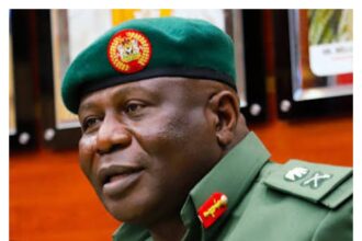 Instability in Lake Chad, Sahel worsening Nigeria’s insecurity — COAS