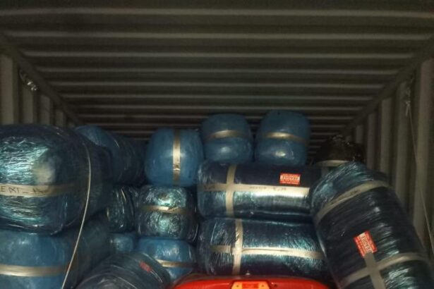 NDLEA intercepts N10.3bn cannabis haul, arrests South African woman with 5.75kg heroin