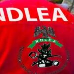 NDLEA uncovers suspected drug warehouse, arrests couple in Edo