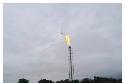 Nigeria flared 5.3 billion cubic metres of gas worth $1.5 billion in 2024 – German Ambassador