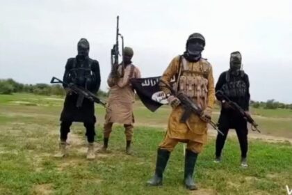 Nine ISWAP fighters reportedly die in cholera outbreak in Borno