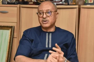 Nobody above 70 years should run for political office – Pat Utomi