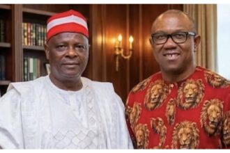 ‘Obi-Kwankwaso ticket stands little chance in 2027’ – Senator Hanga