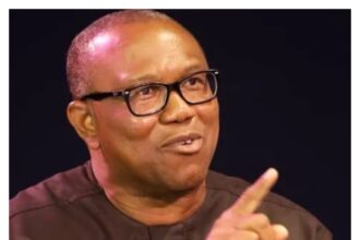 Peter Obi compares Nigeria to Cape Verde, blames leadership for World Cup failure