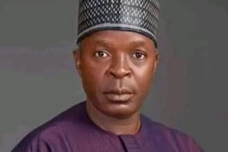 Plateau senator slams NIPSS DG over ‘Berom militia’ comment