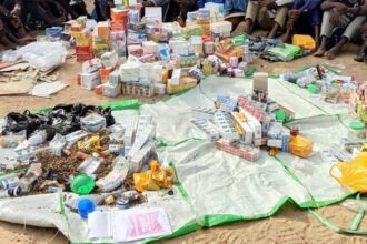 Police arrest 14 suspected drug dealers, recover illicit substances in Yobe