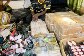 Police raid drug warehouse in Yobe, arrest suspect, recover hard drugs