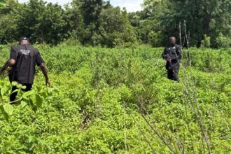 Police rescue kidnapped mother, two-year-old son in Kwara