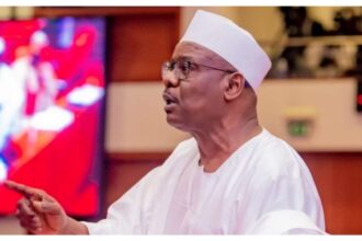 Rescue 79 held captive in Borno as you did in Oyo – Ndume tells military 