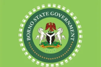 School abductions: Insecurity could reverse gains in education — Borno govt warns