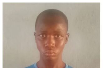 Shila Boys-style thief jailed 12 years in Adamawa for theft, extortion