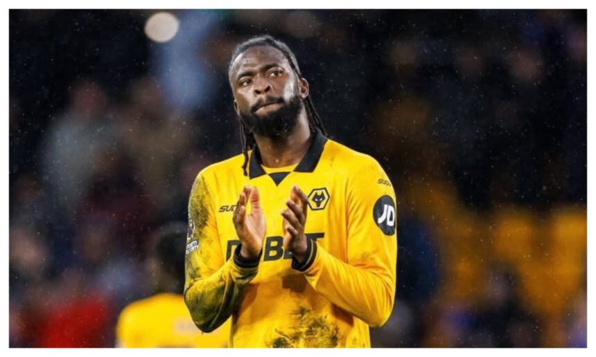 Transfer: Wolves reject Fiorentina’s bid for Arokodare