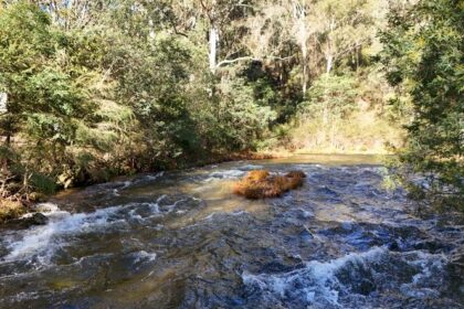 What Does 'Quiet On the Creek' Mean?
