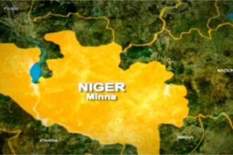 ‘What offence has Borgu committed’ – Youth leader questions government over insecurity